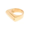 The Gold Ridge Ring