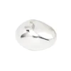 The Silver Egg Ring